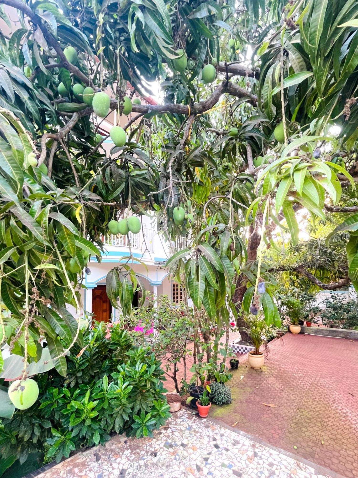 Aamra Ghar By Evaddo Apartment